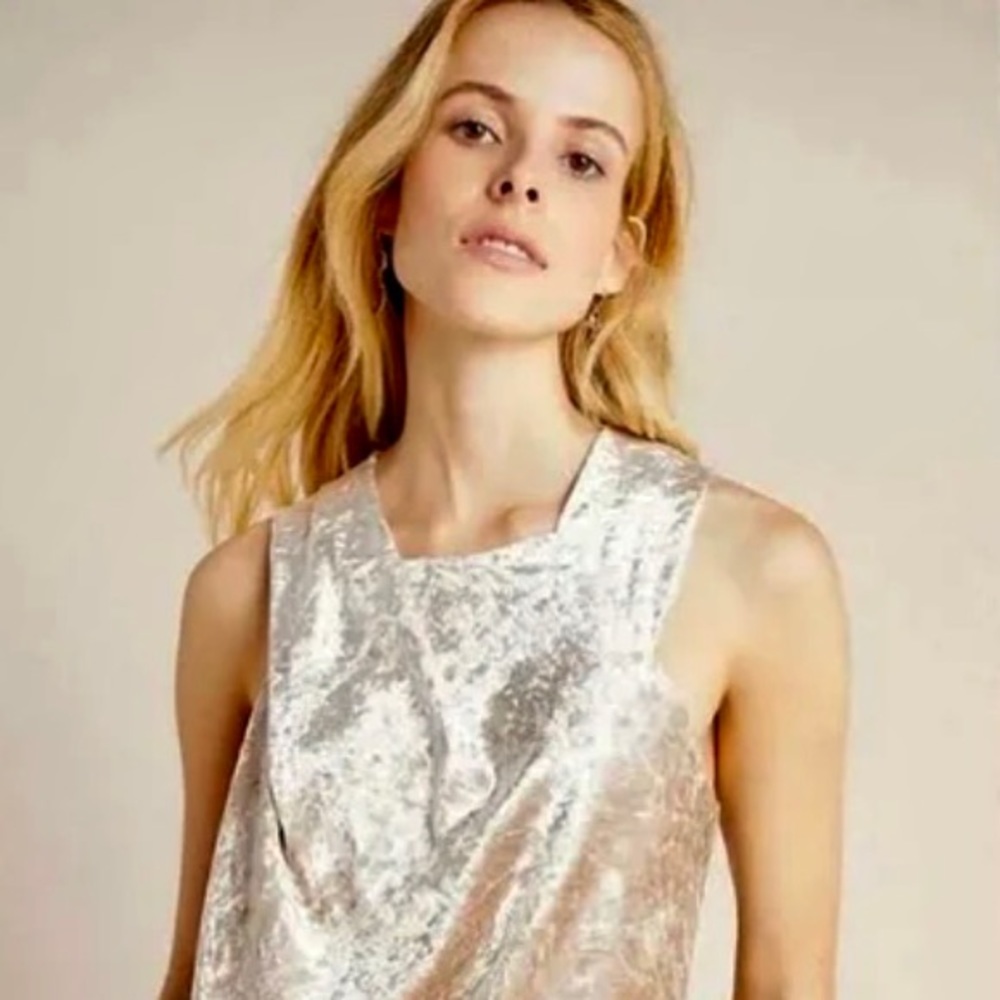 NWT Anthropologie Porridge Champagne Top - Perfect for Holidays!
